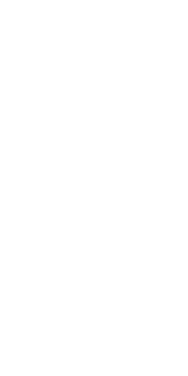 batsman image